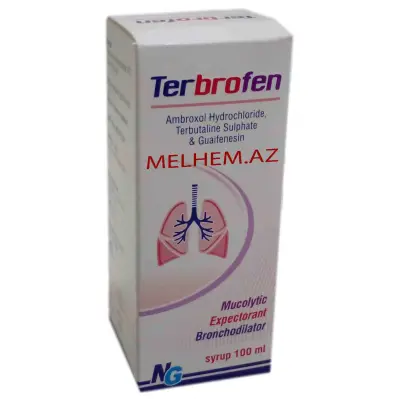 TERBROFEN 100 ML (SİROP)