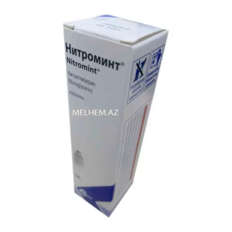 NITROMINT  10 Q (SPREY)