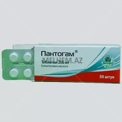 PANTOQAM 250 mq