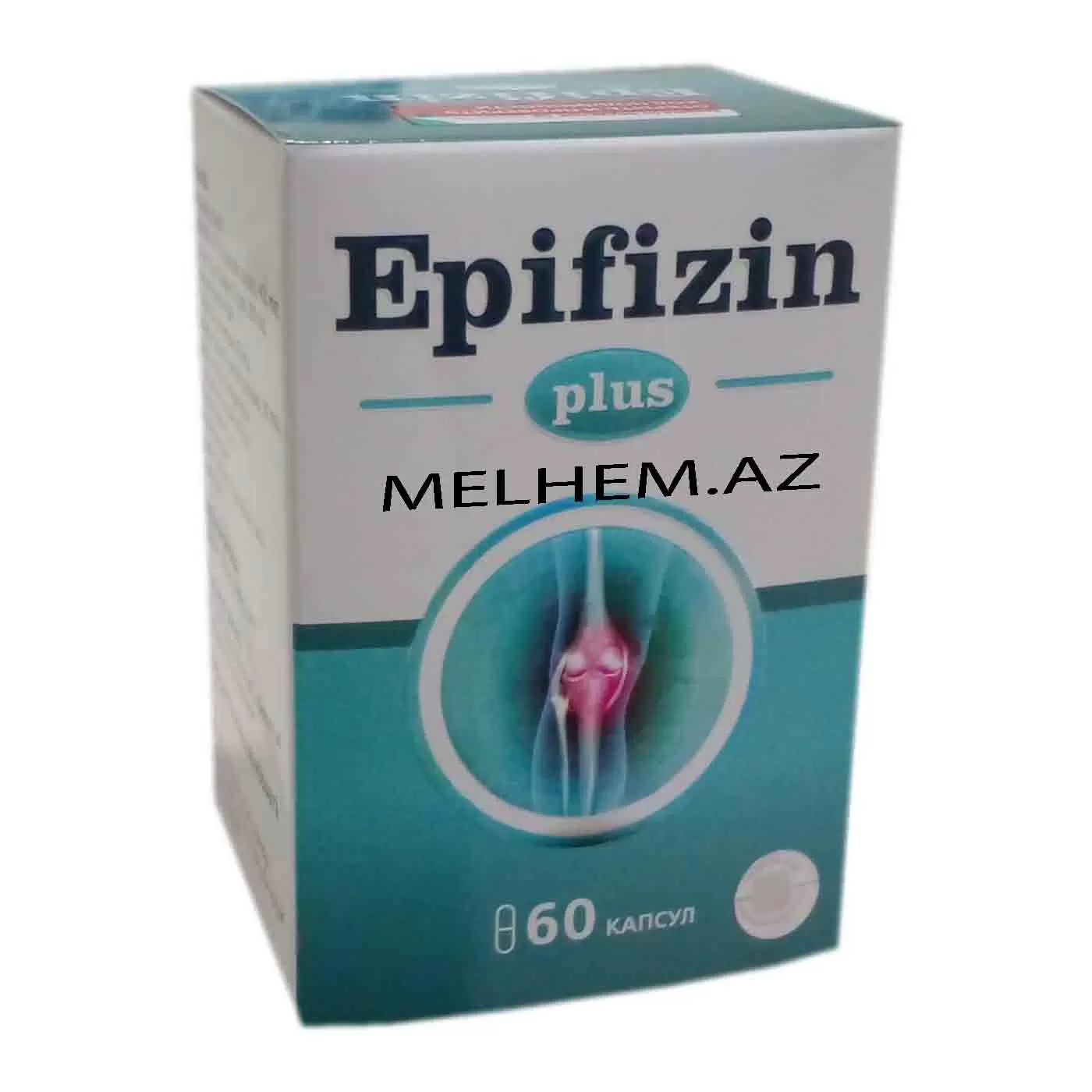 EPIFIZIN PLUS N60 (KAPSUL)
