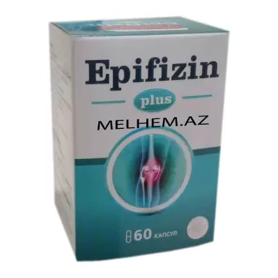 EPIFIZIN PLUS N60 (KAPSUL)