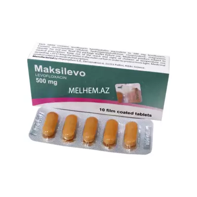 MAKSİLEVO 500 MQ N10