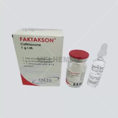 FAKTAKSON 1Q